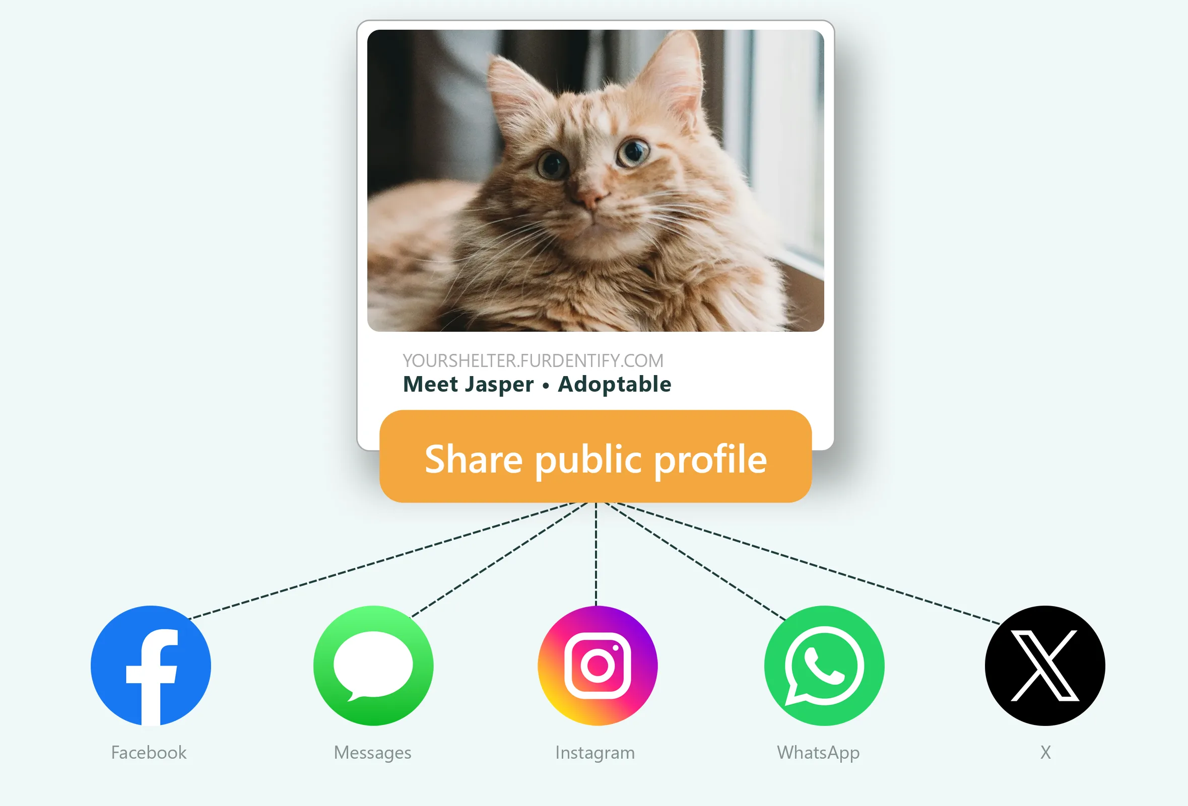 Share to social media in Furdentify
